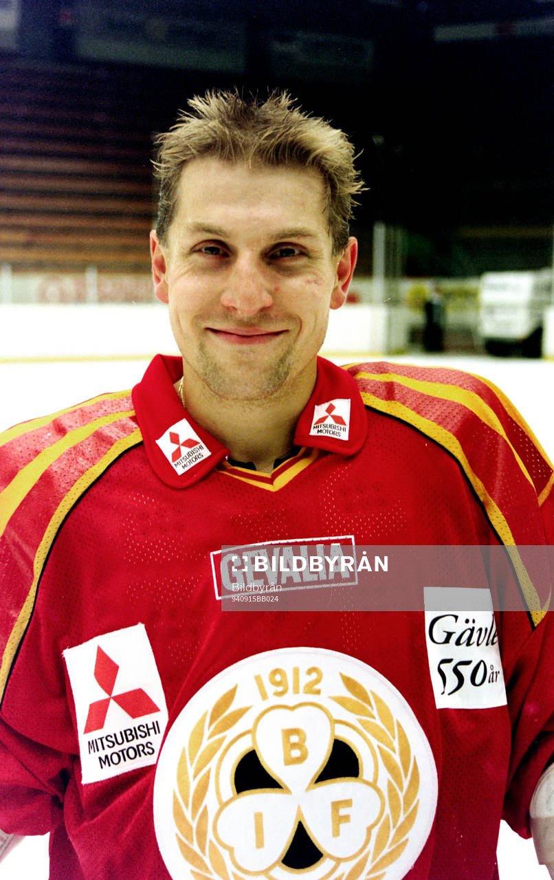 Bedrich Scerban, Brynäs