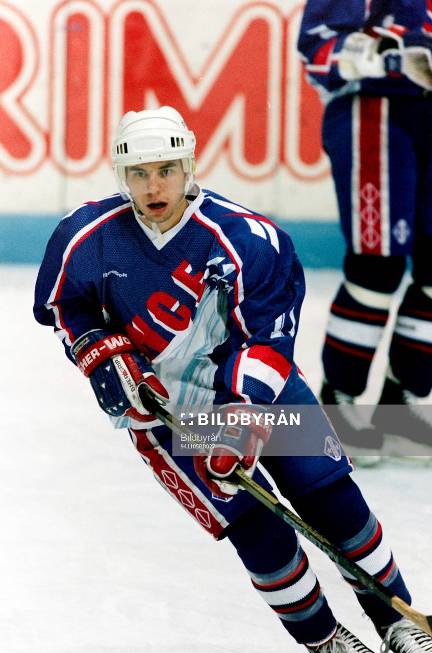Mickael Babin, Frankrike