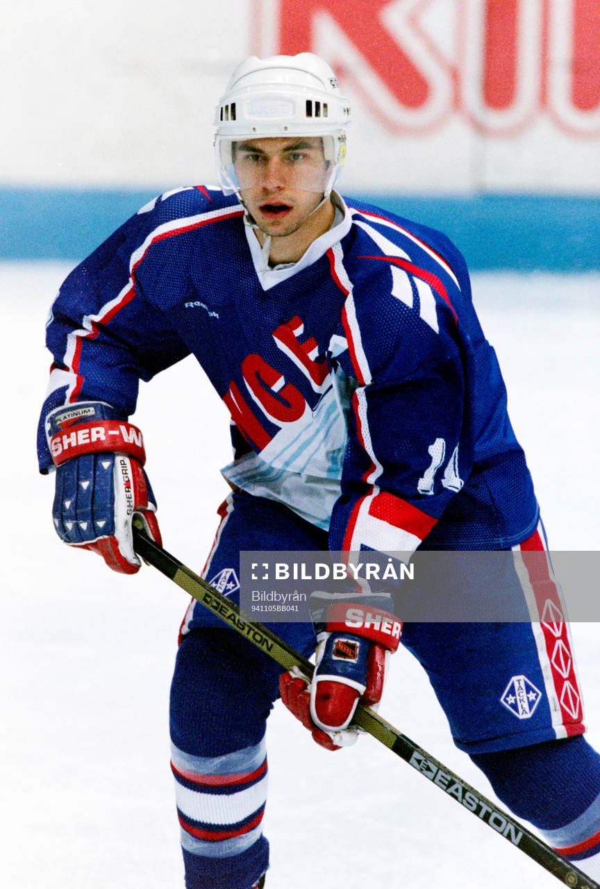 Mickael Babin, Frankrike