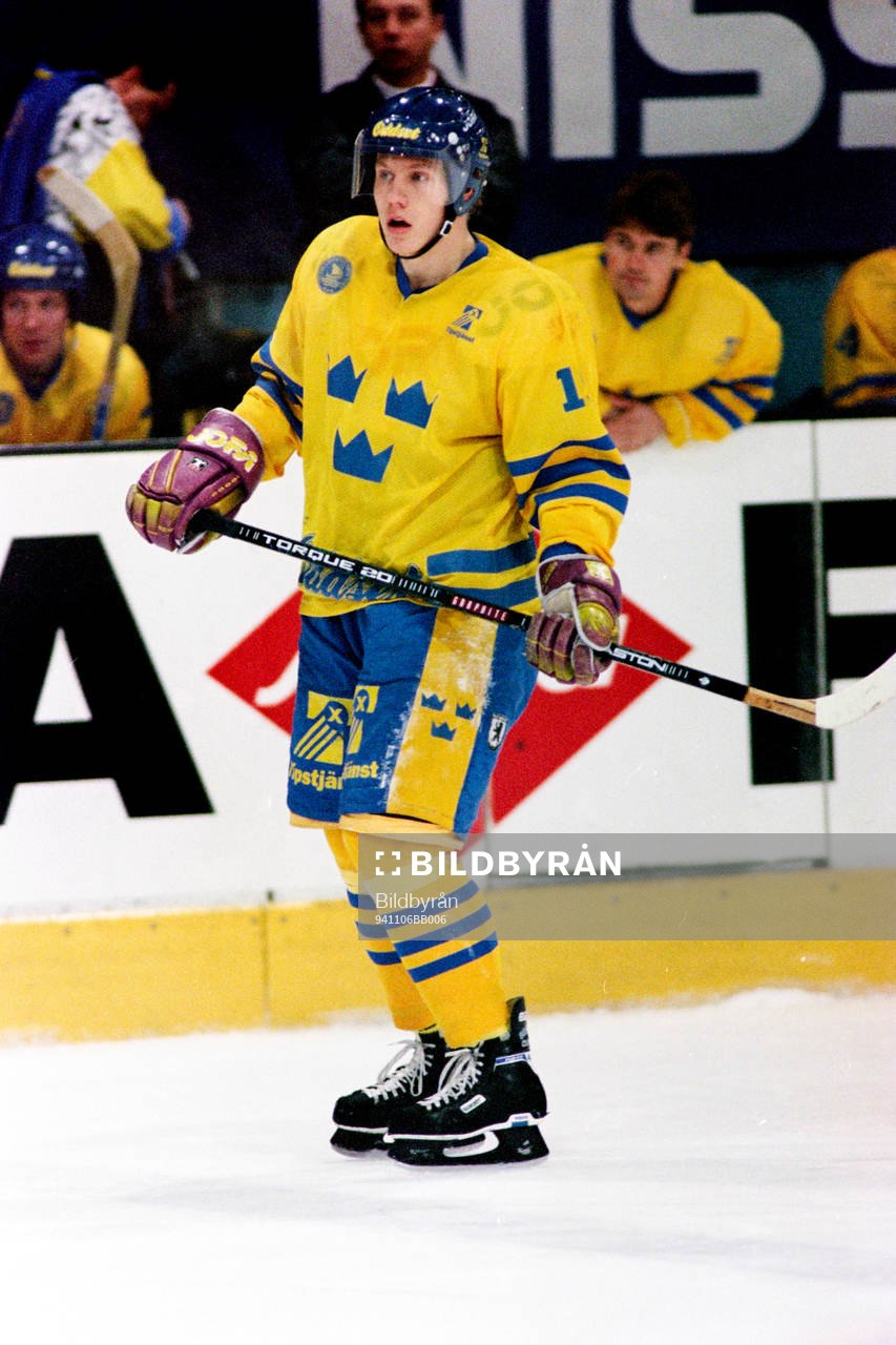 Mats Lindgren, Sverige