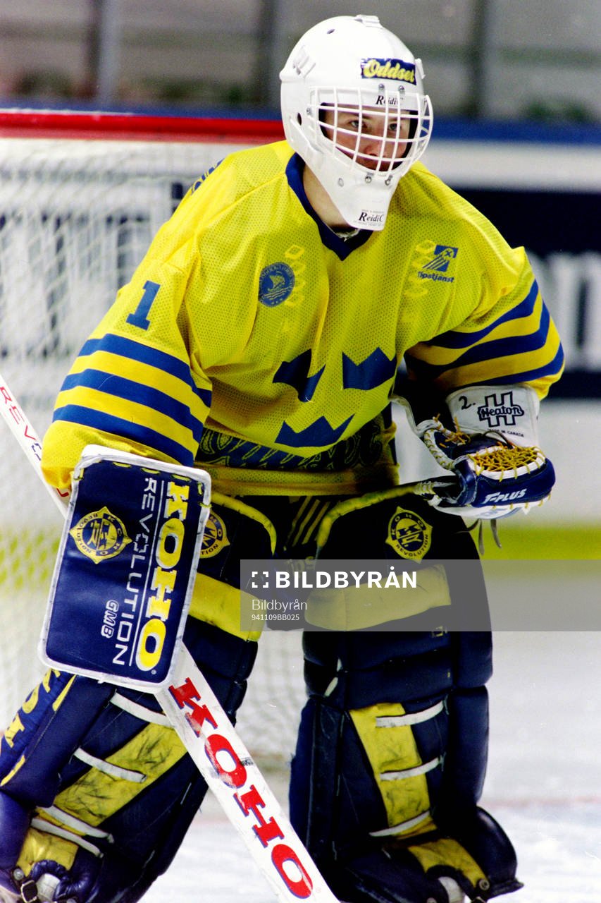 Johan Hedberg, målvakt i Sverige