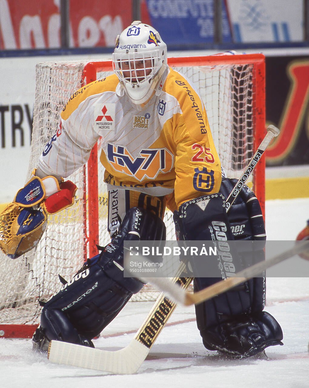 Hv71s målvakt Boo Ahl