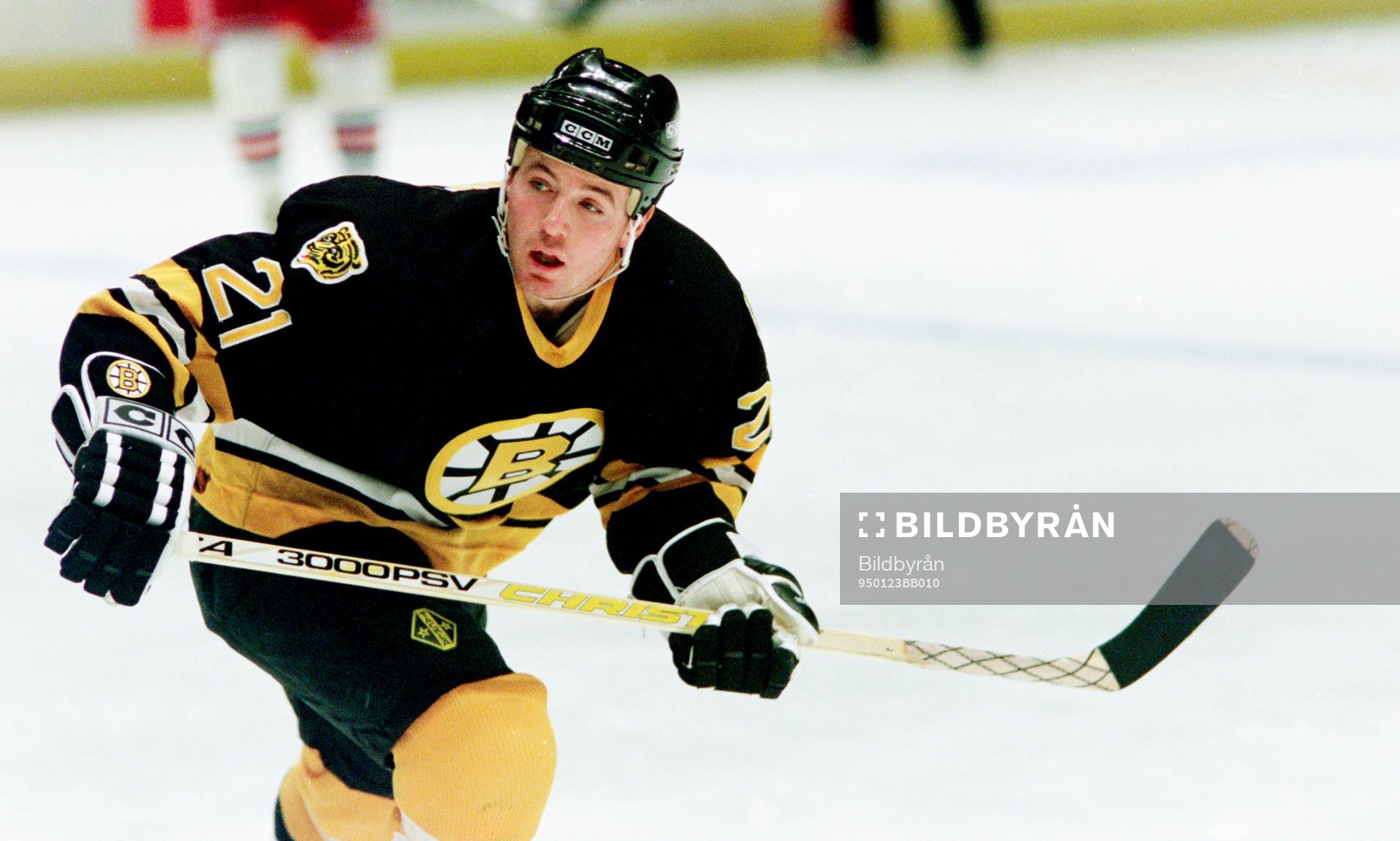 Ted Donato, Boston Bruins