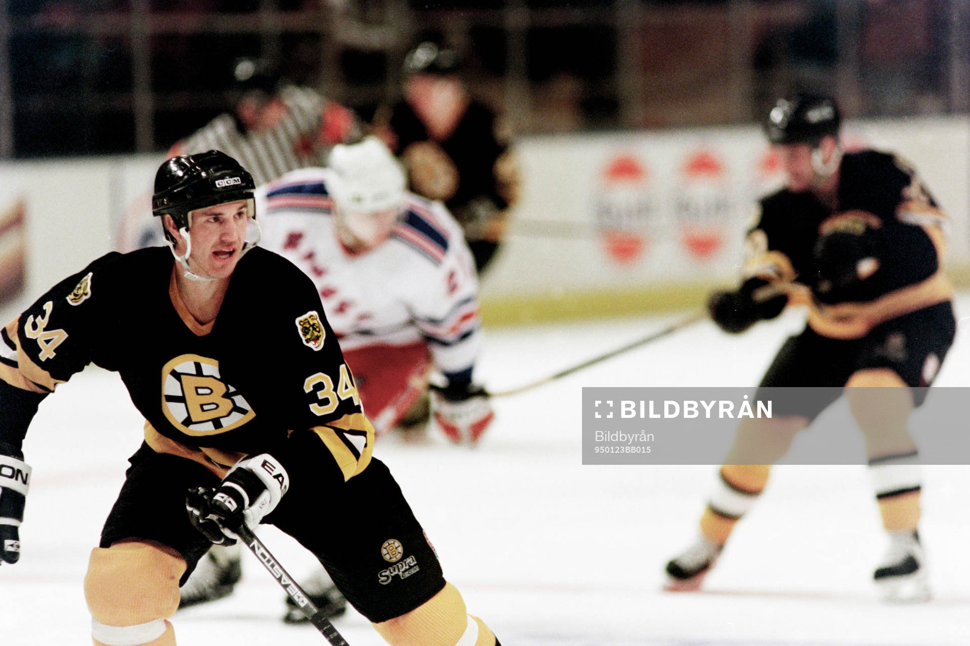 David Shaw, Boston Bruins