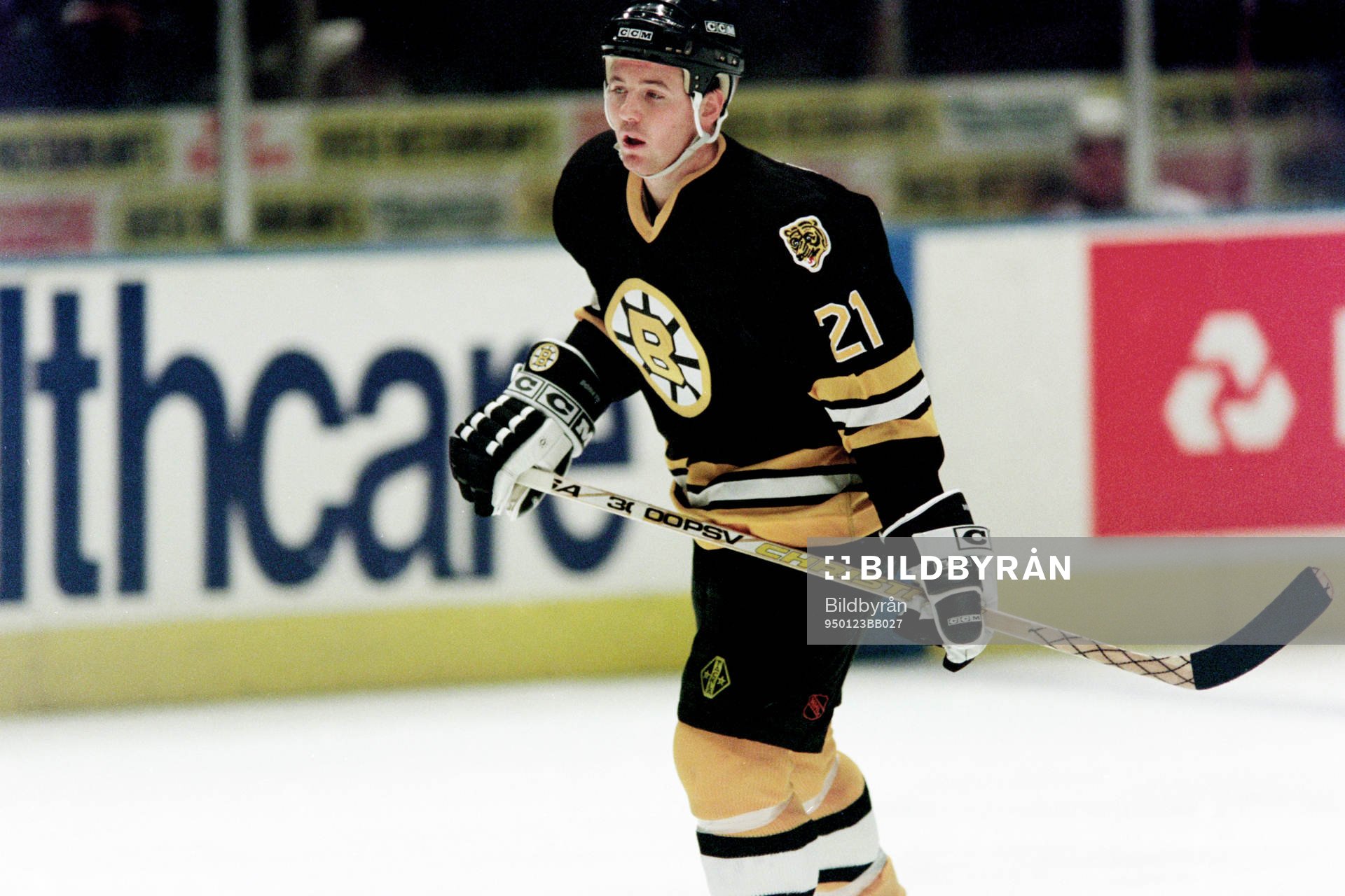 Ted Donato, Boston Bruins
