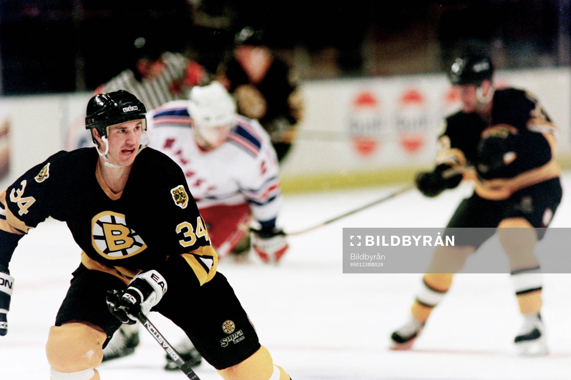 David Shaw, Boston Bruins