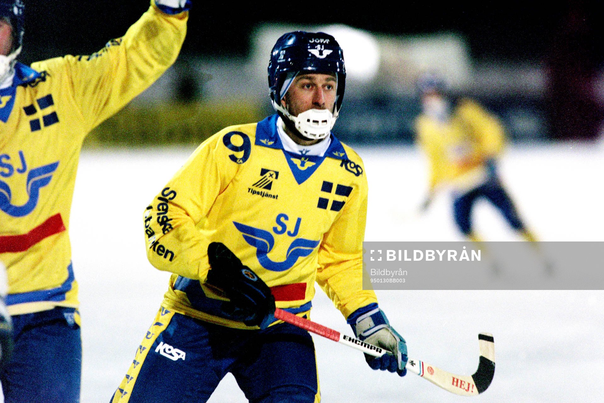 Hans Johansson, Sverige
