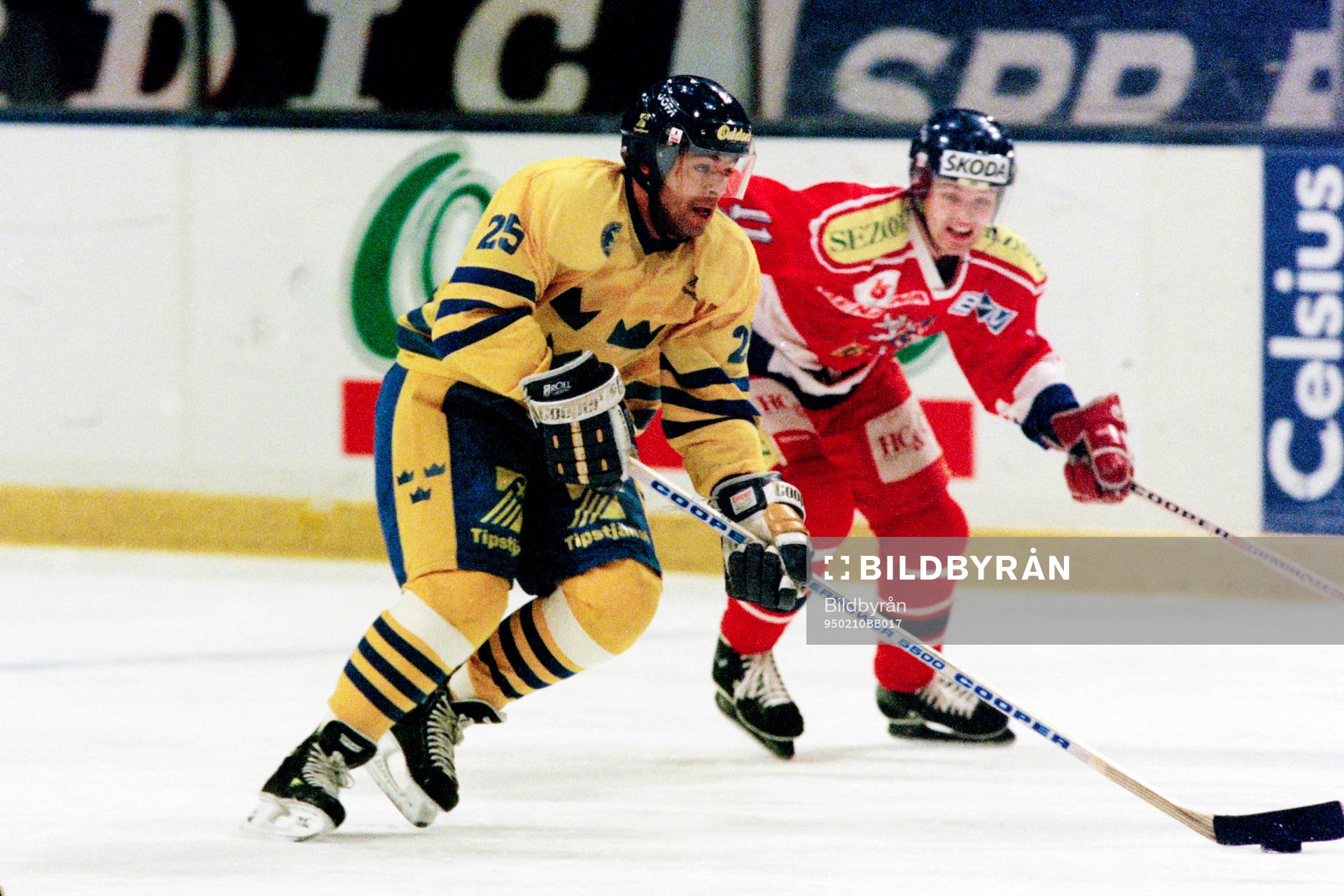 Patrik Erickson, Sverige