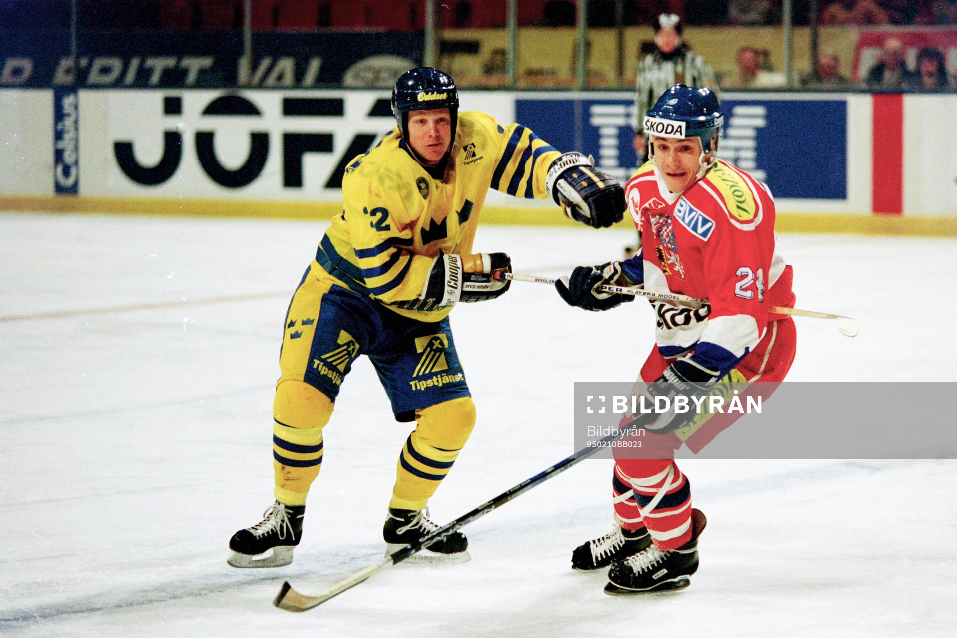 Charles Berglund, Sverige