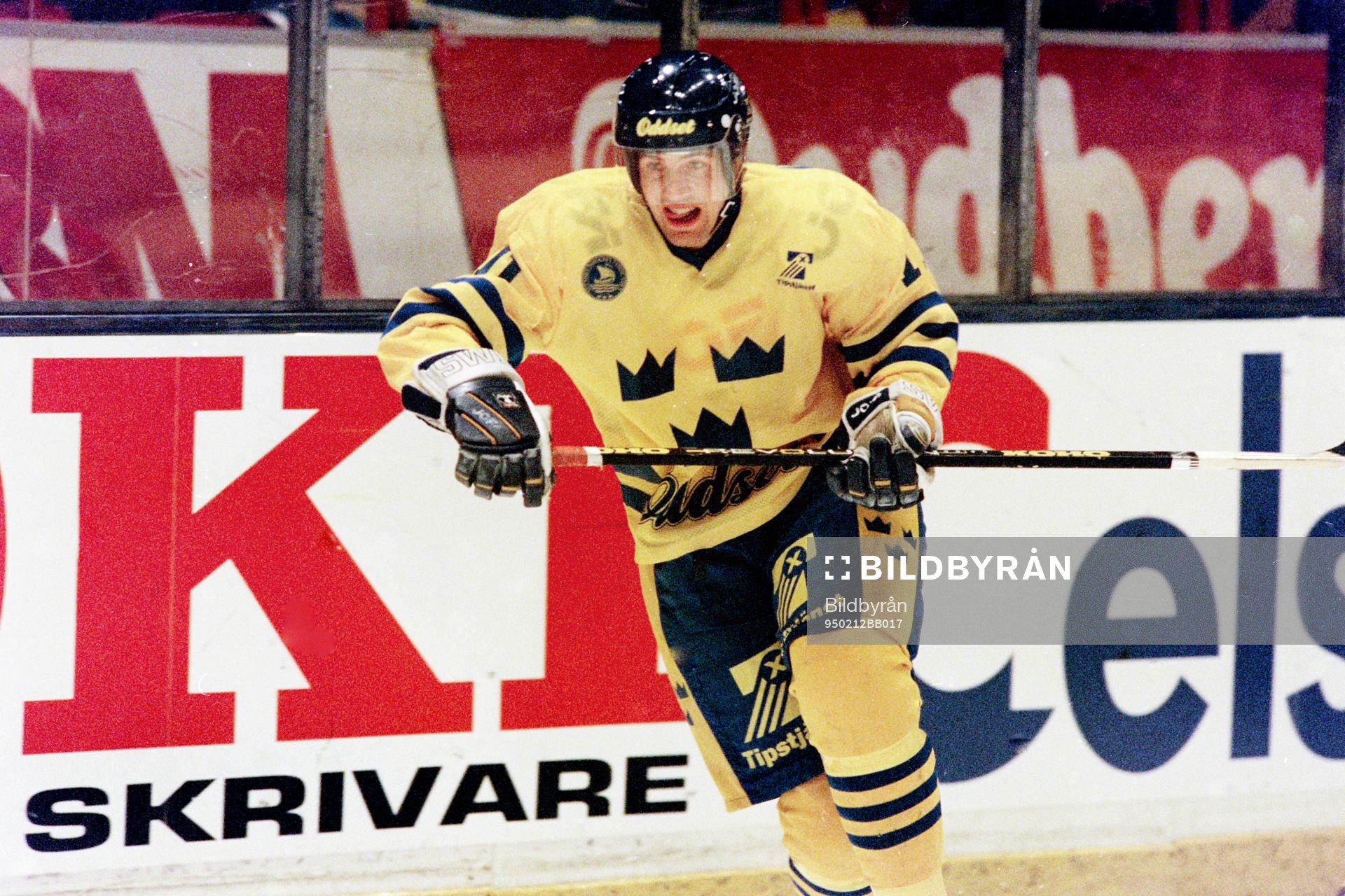 Roger Hansson, Sverige