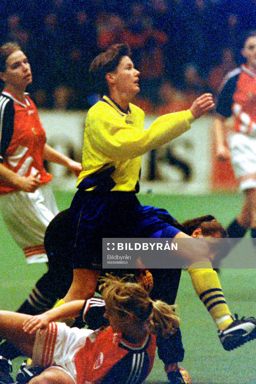 Lena Videkull, Sverige