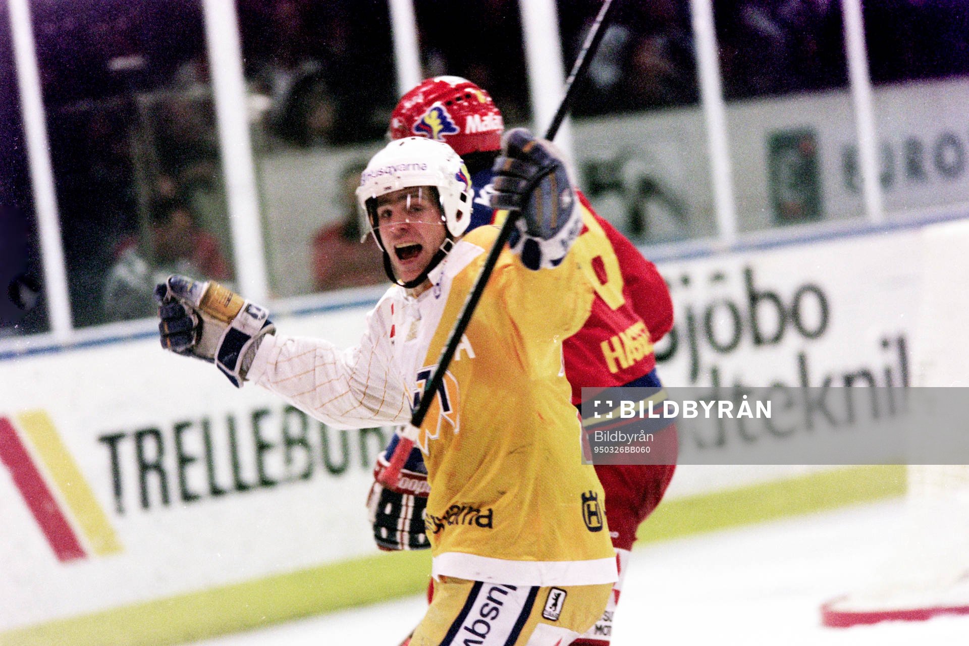 Stefan Falk, HV71 jublar