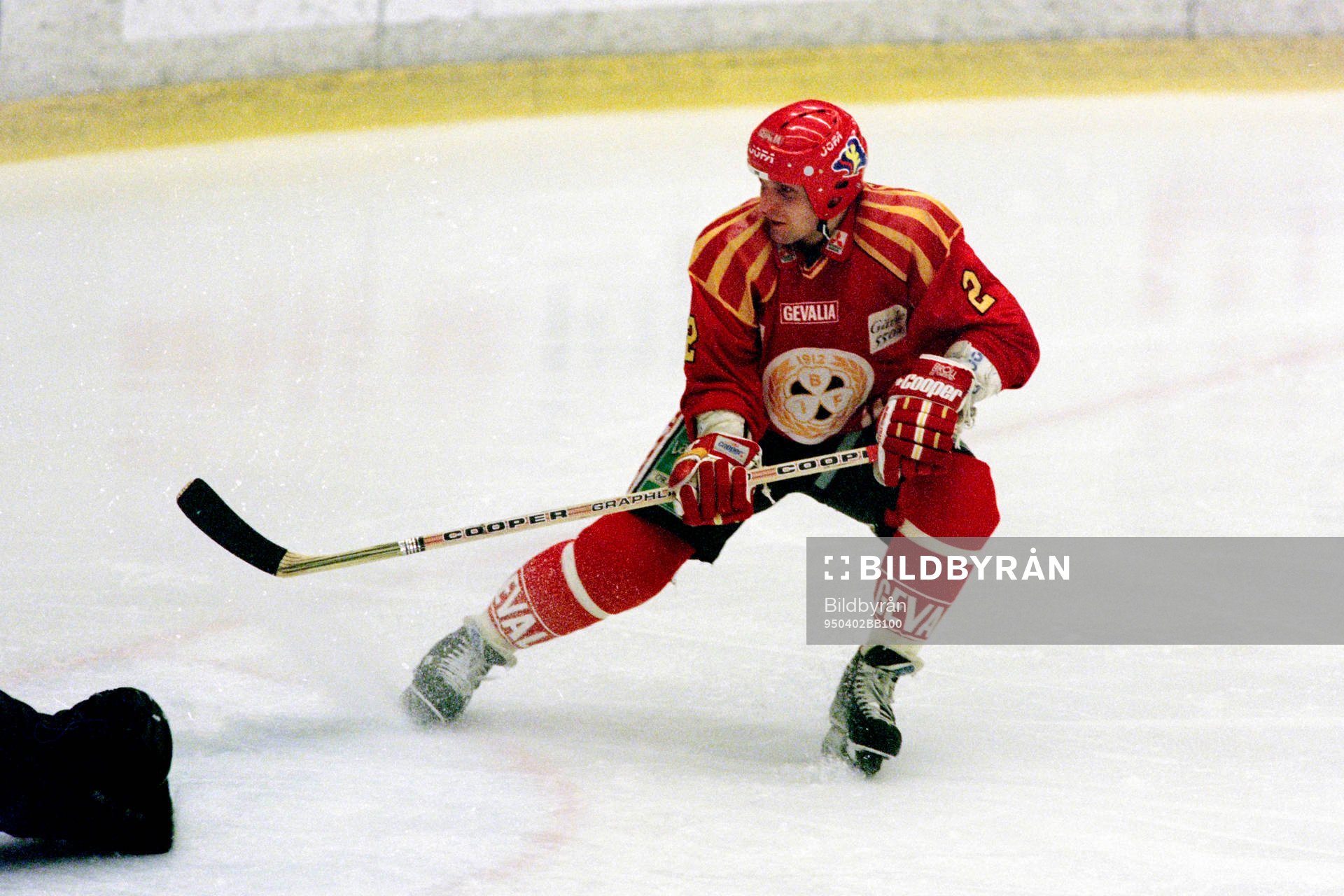 Bedrich Scerban, Brynäs