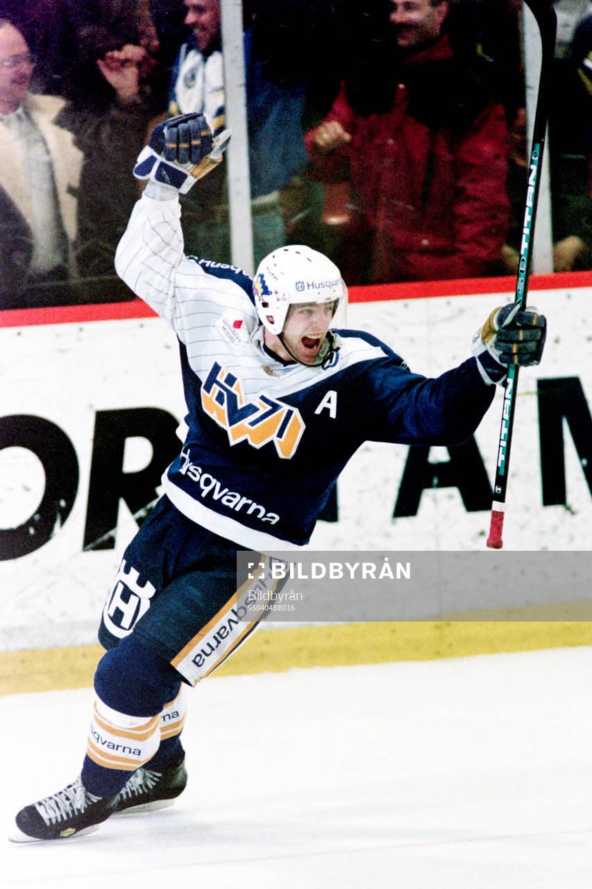 Stefan Falk, HV71 jublar