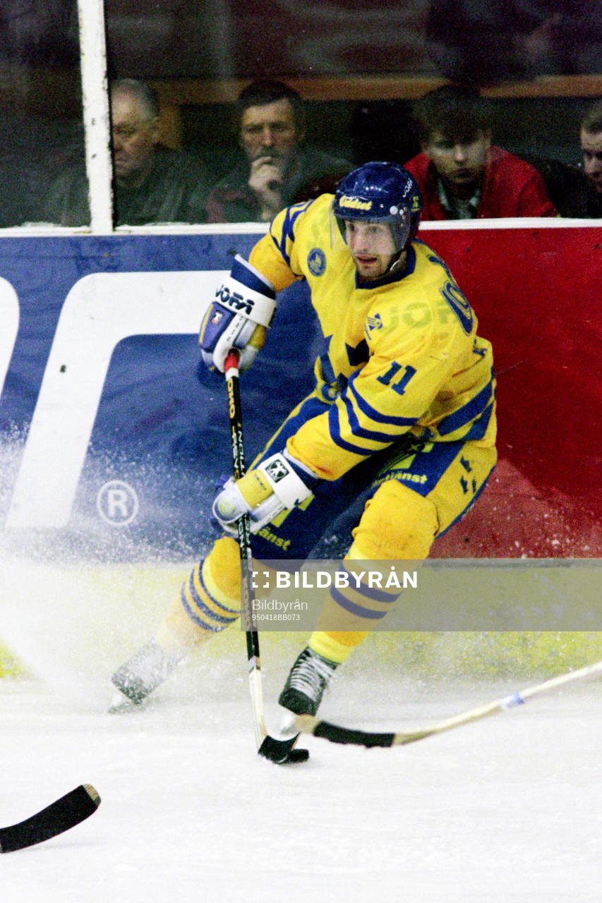 Roger Hansson, Sverige