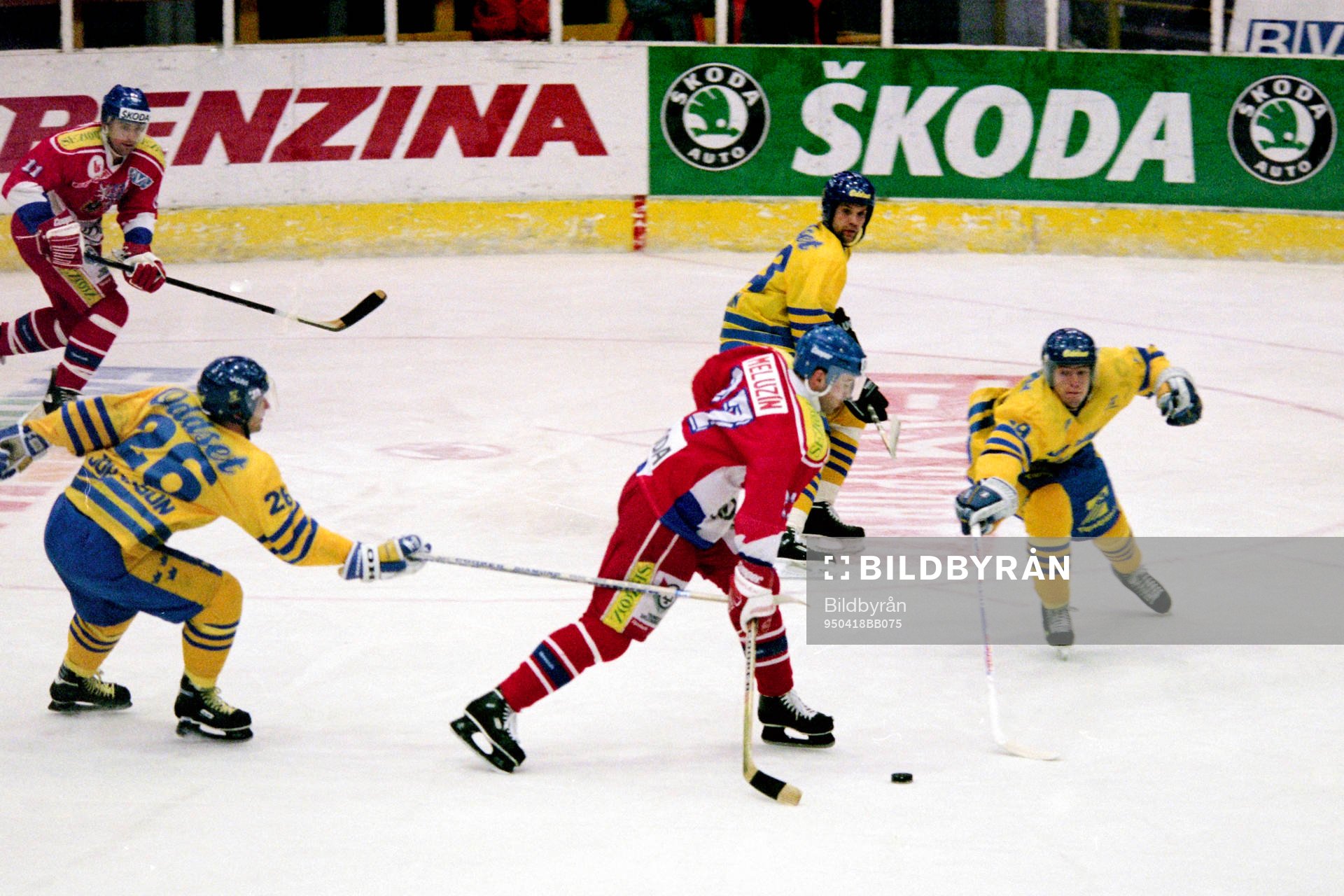 Roman Meluzin, Tjeckien i ett anfall