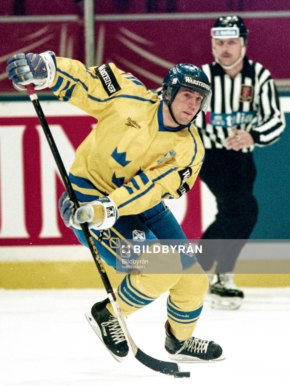 Roger Hansson, Sverige