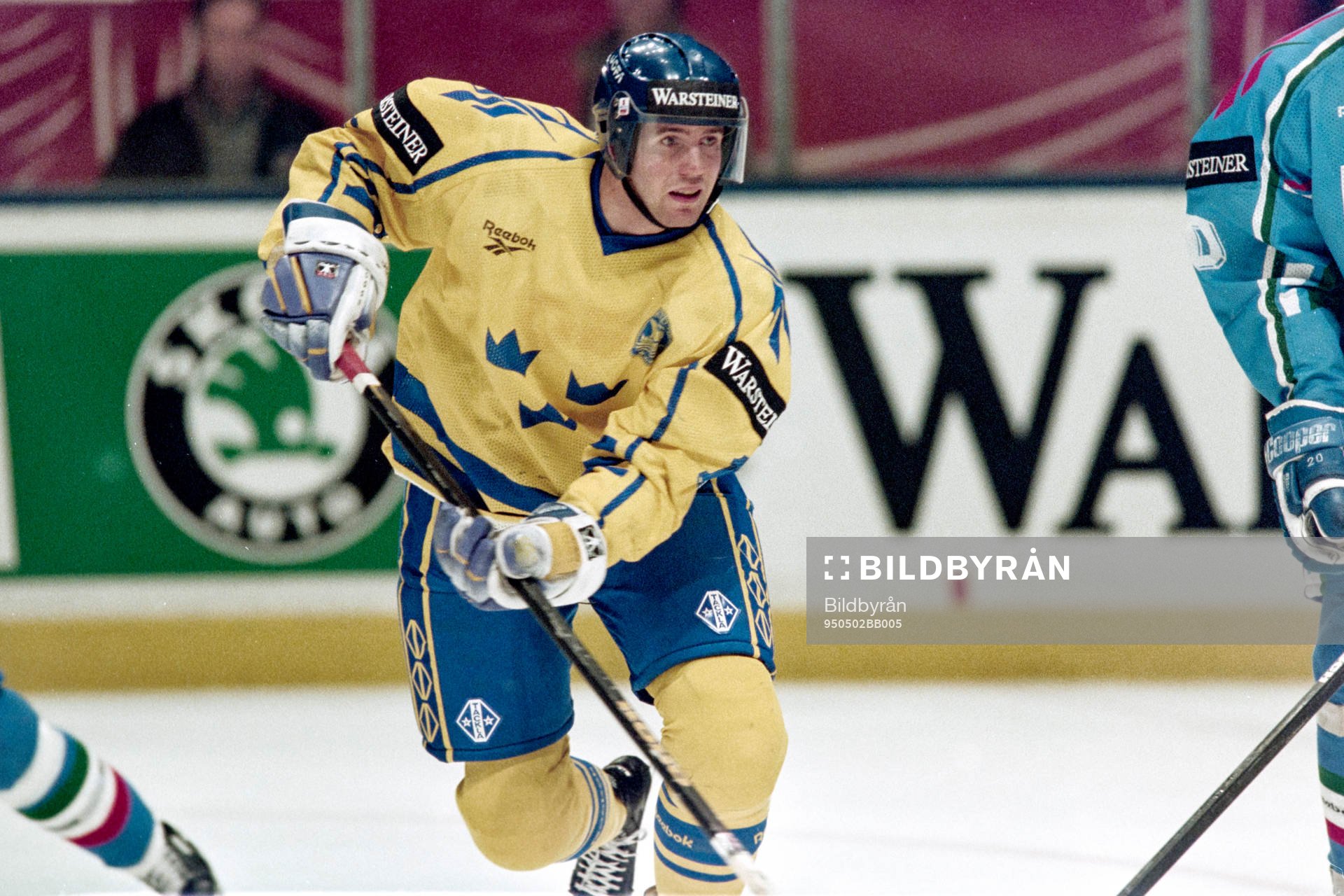 Roger Hansson, Sverige