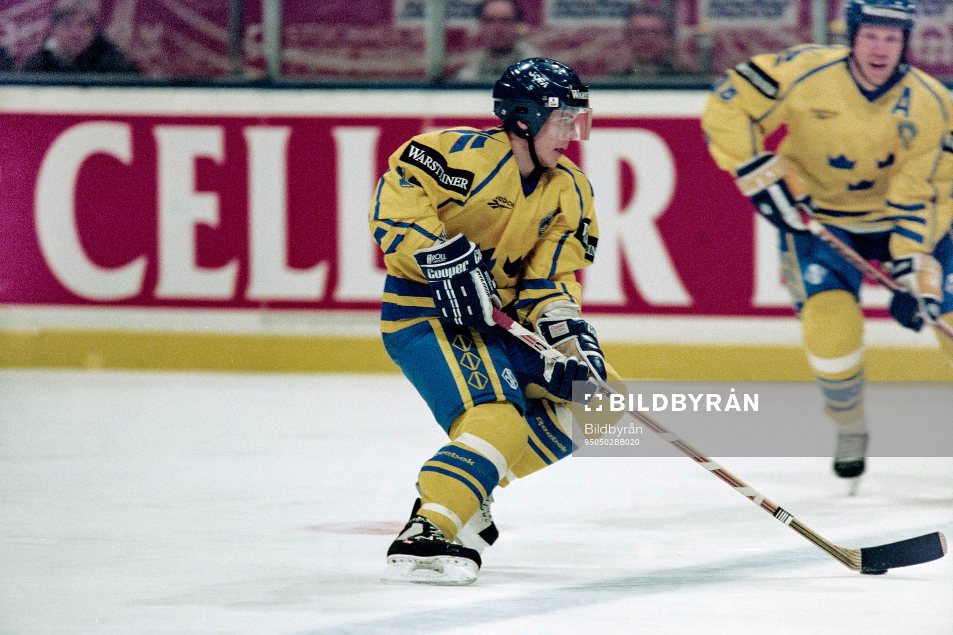 Fredrik Stillman, Sverige