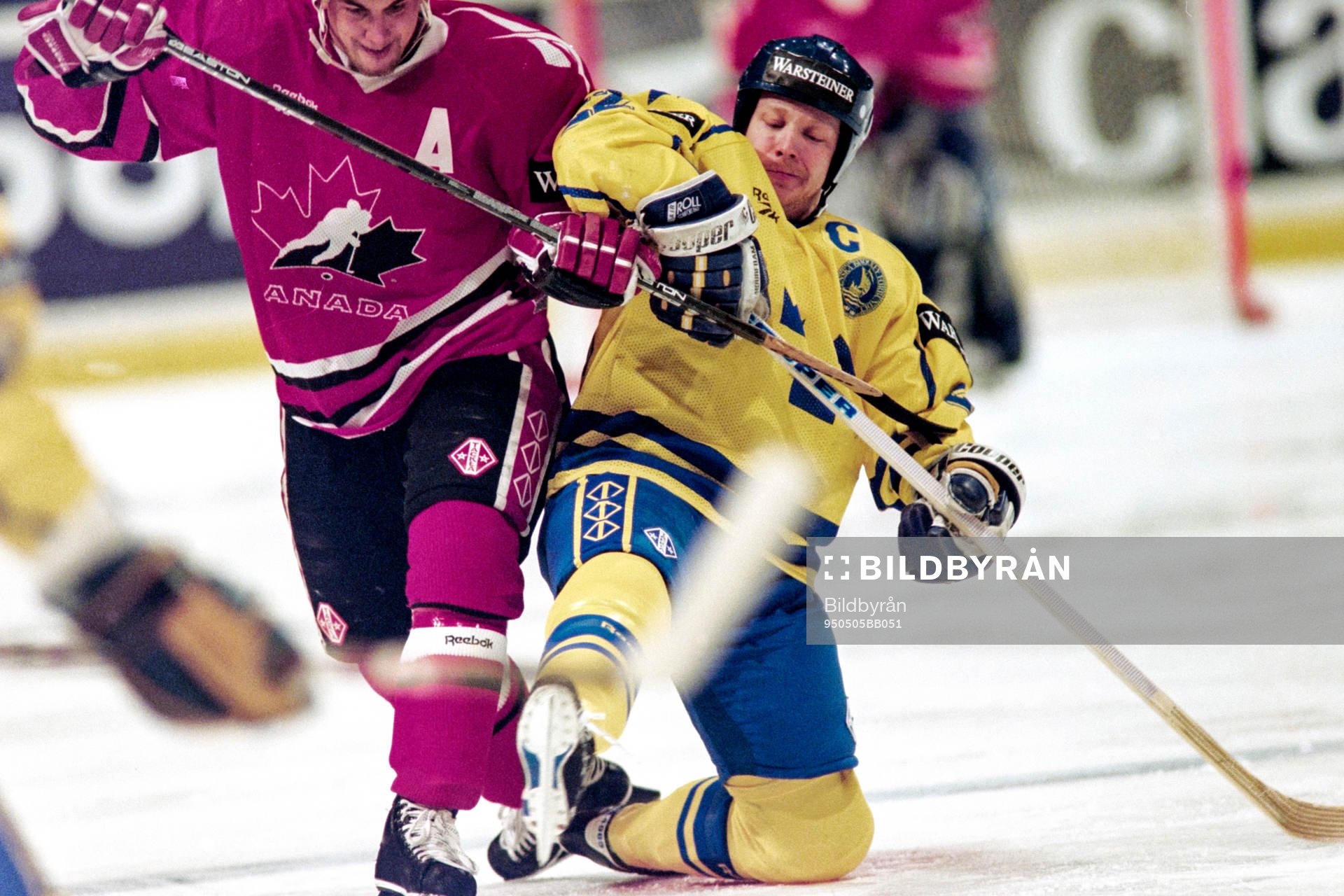 Charles Berglund, Sverige