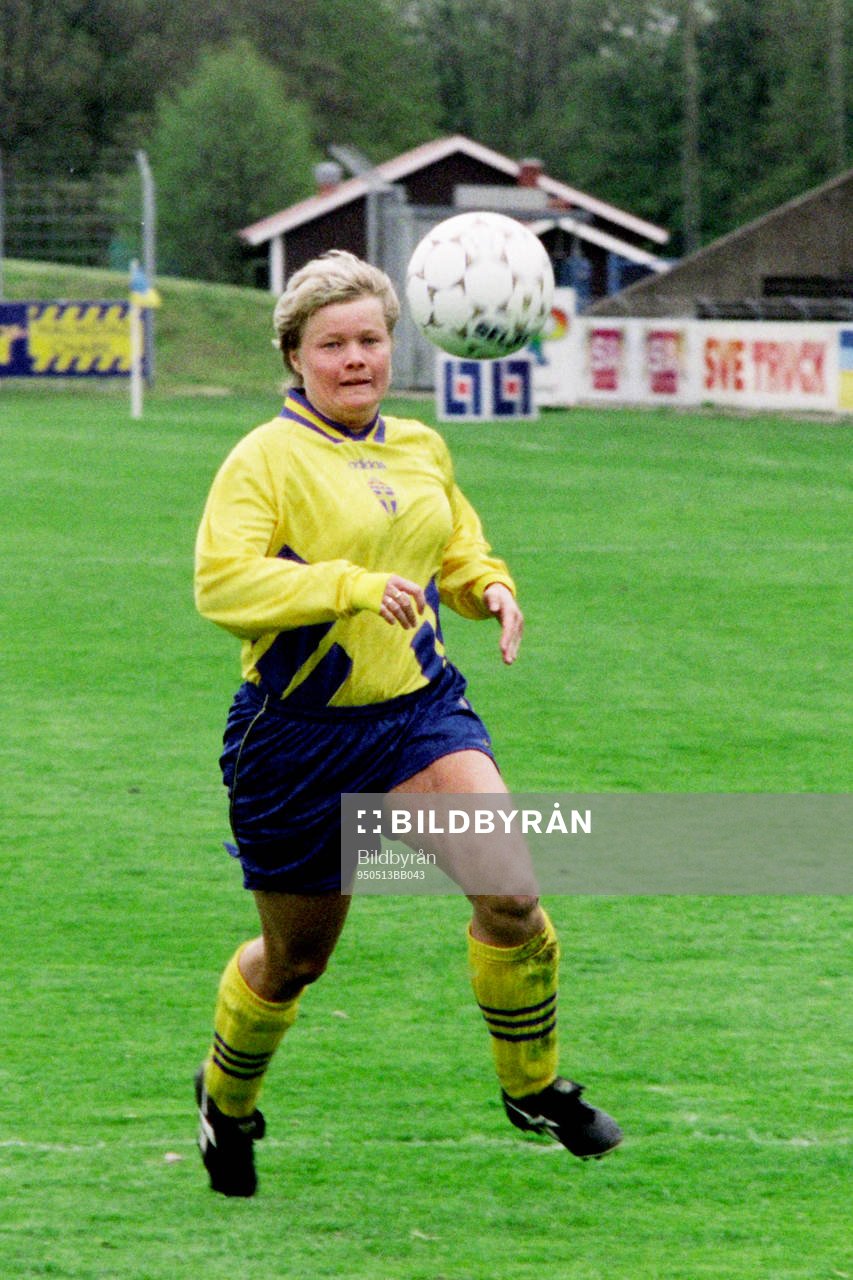 Anneli Andelén, Sverige