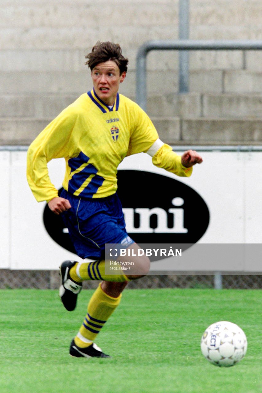 Lena Videkull, Sverige