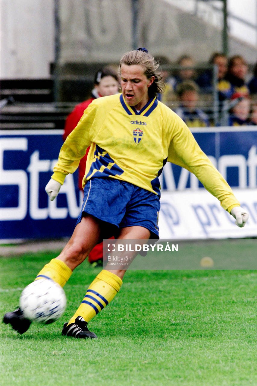 Malin Andersson, Sverige