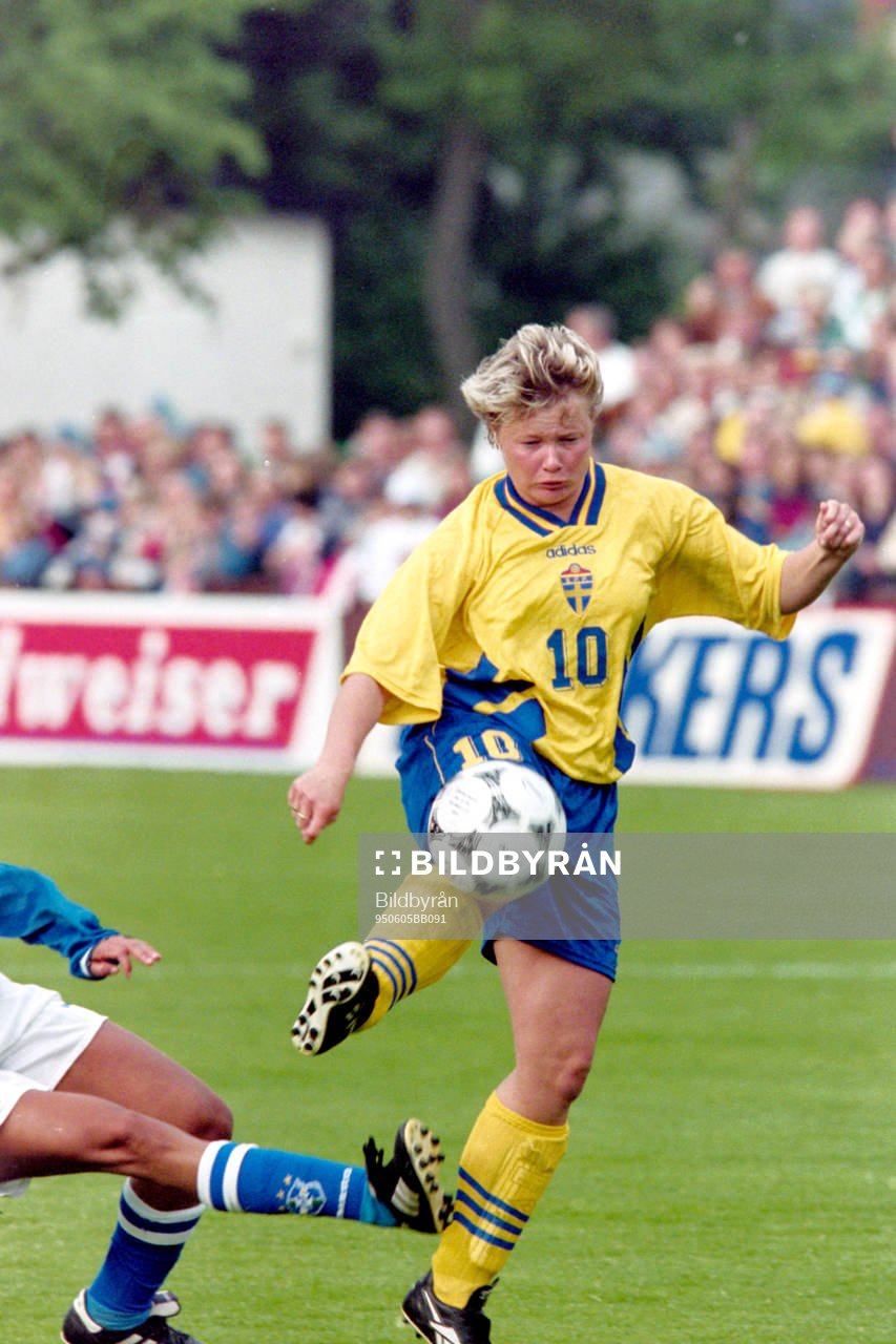 Anneli Andelén, Sverige