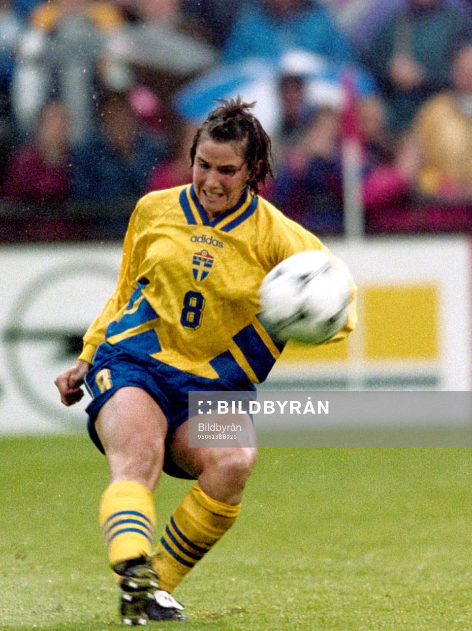 Susanne Hedberg, Sverige