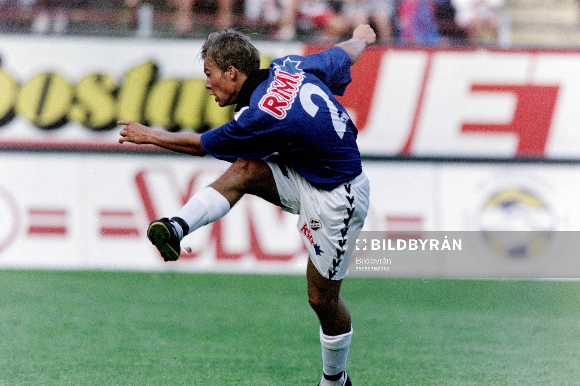 Fredrik Ljungberg, Halmstad