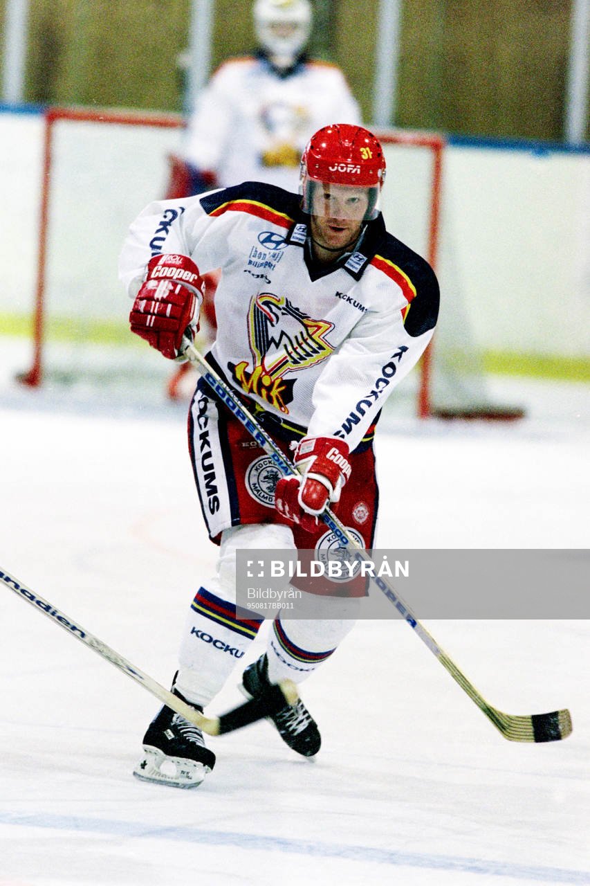 Stefan Elvenes, Malmö