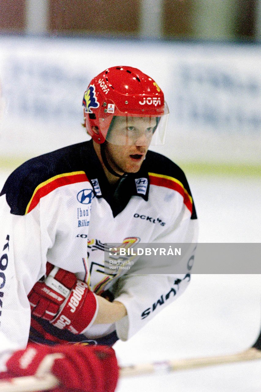 Stefan Elvenes, Malmö