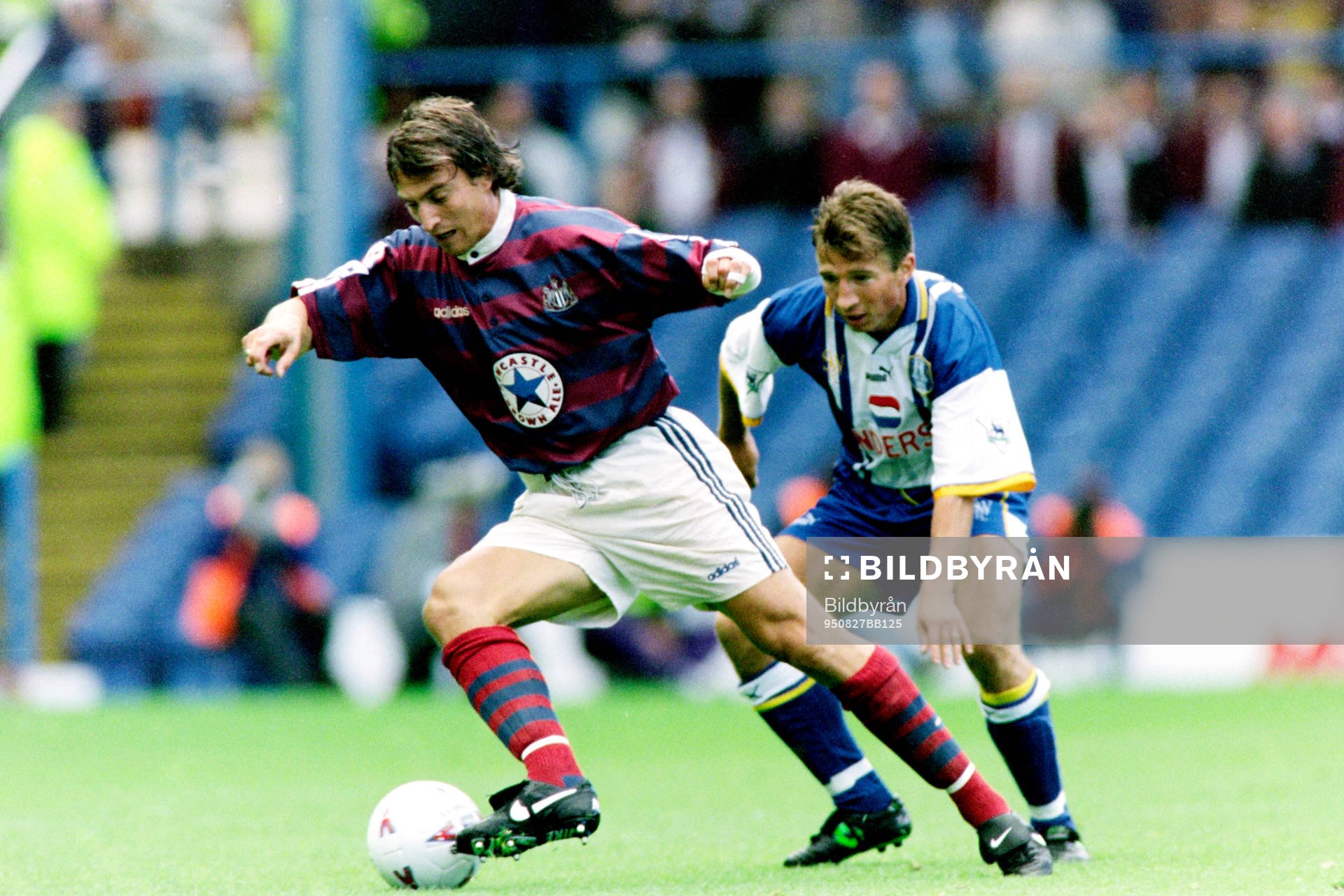 Fotboll, engelsk, Sheffield Wednesday - Newcastle, 0-2: David Ginola, Newcastle.