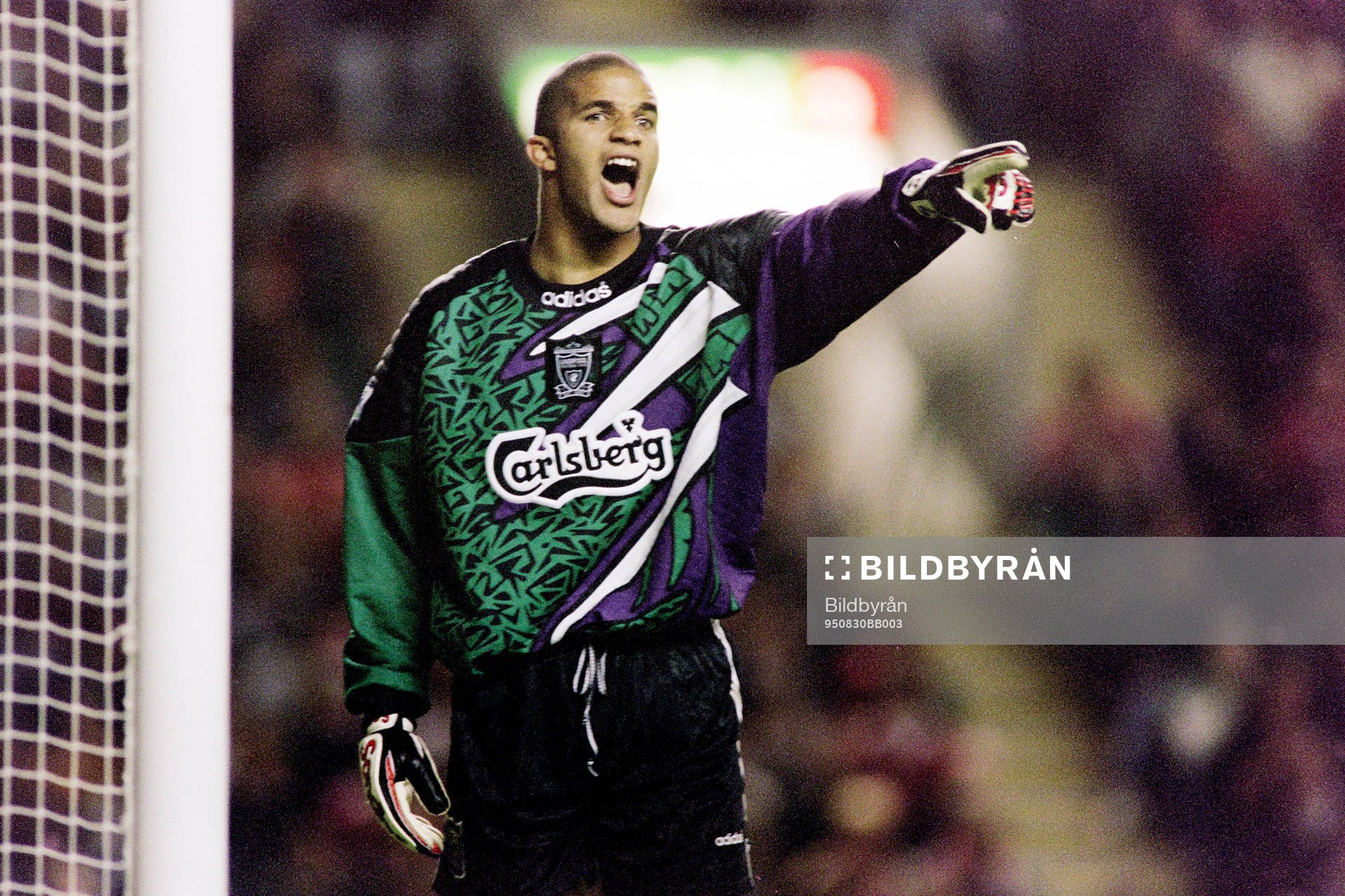 David James, målvakt, Liverpool