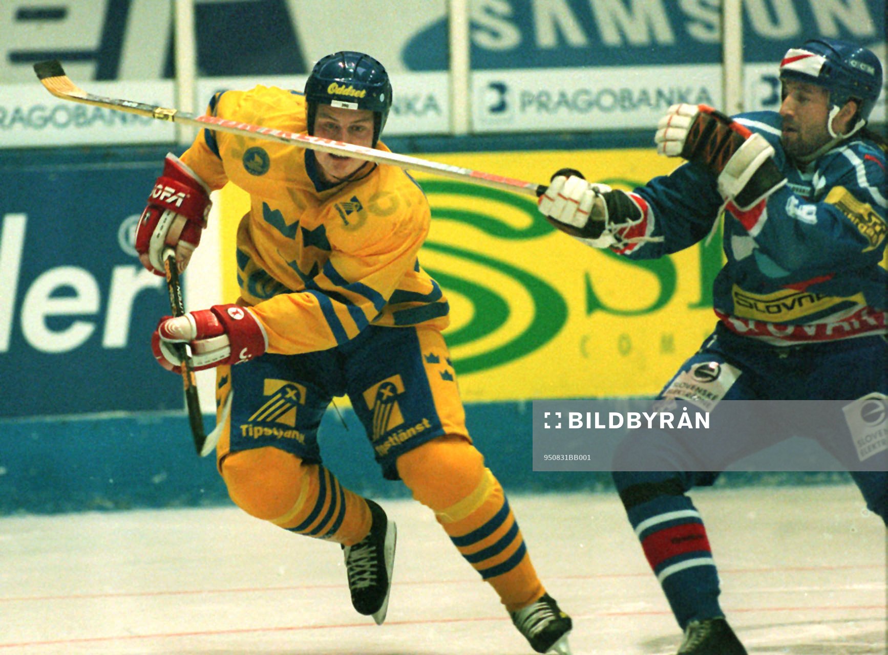Mattias Timander