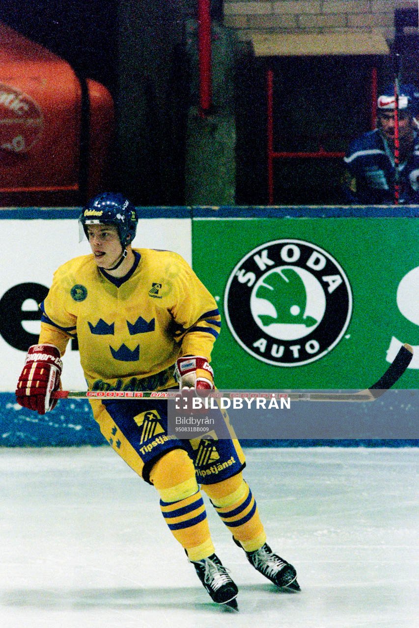 Fredrik Modin, Sverige