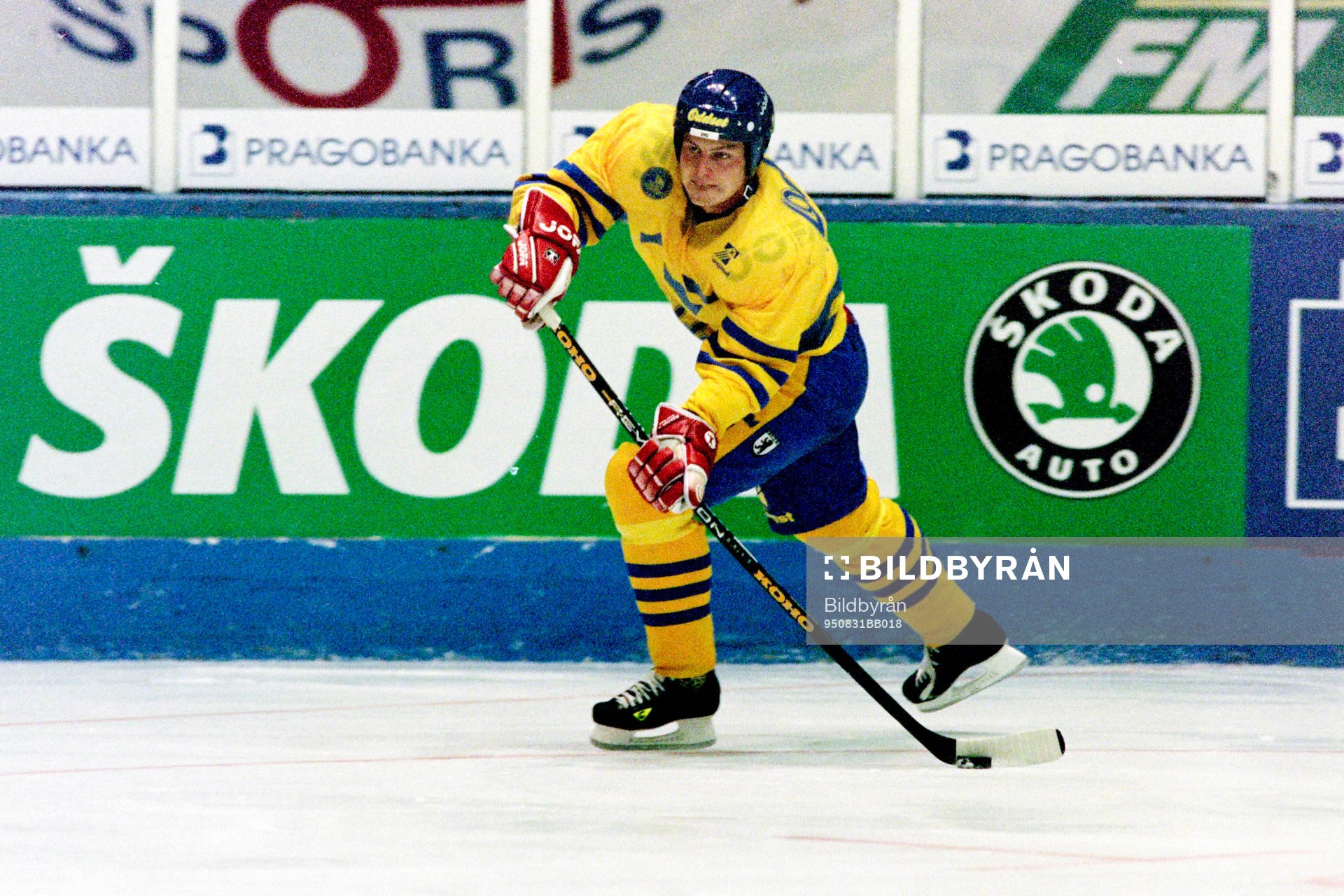 Mattias Timander, Sverige