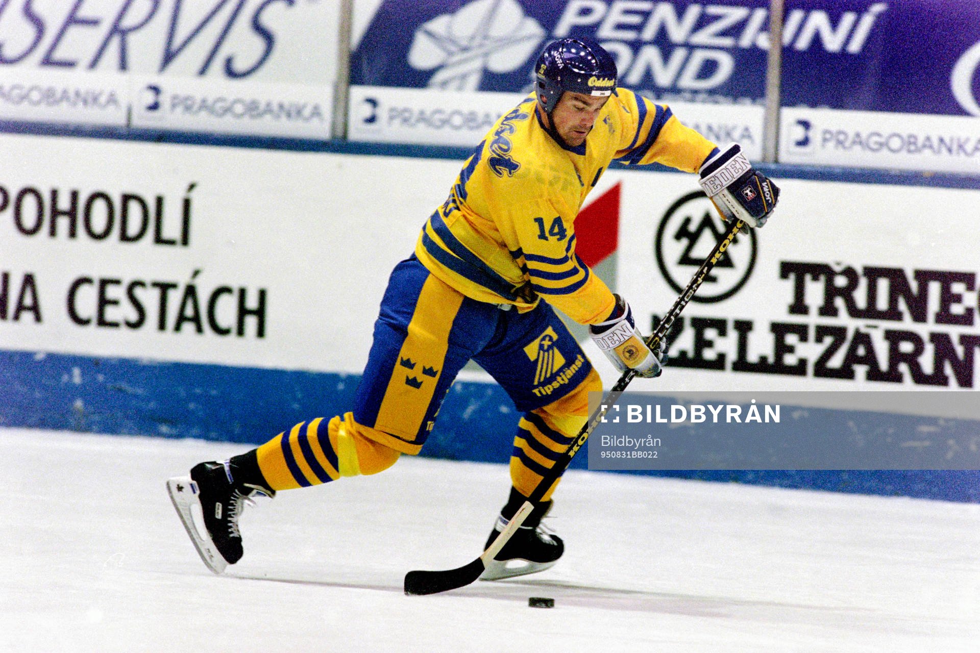 Jonas Höglund, Sverige