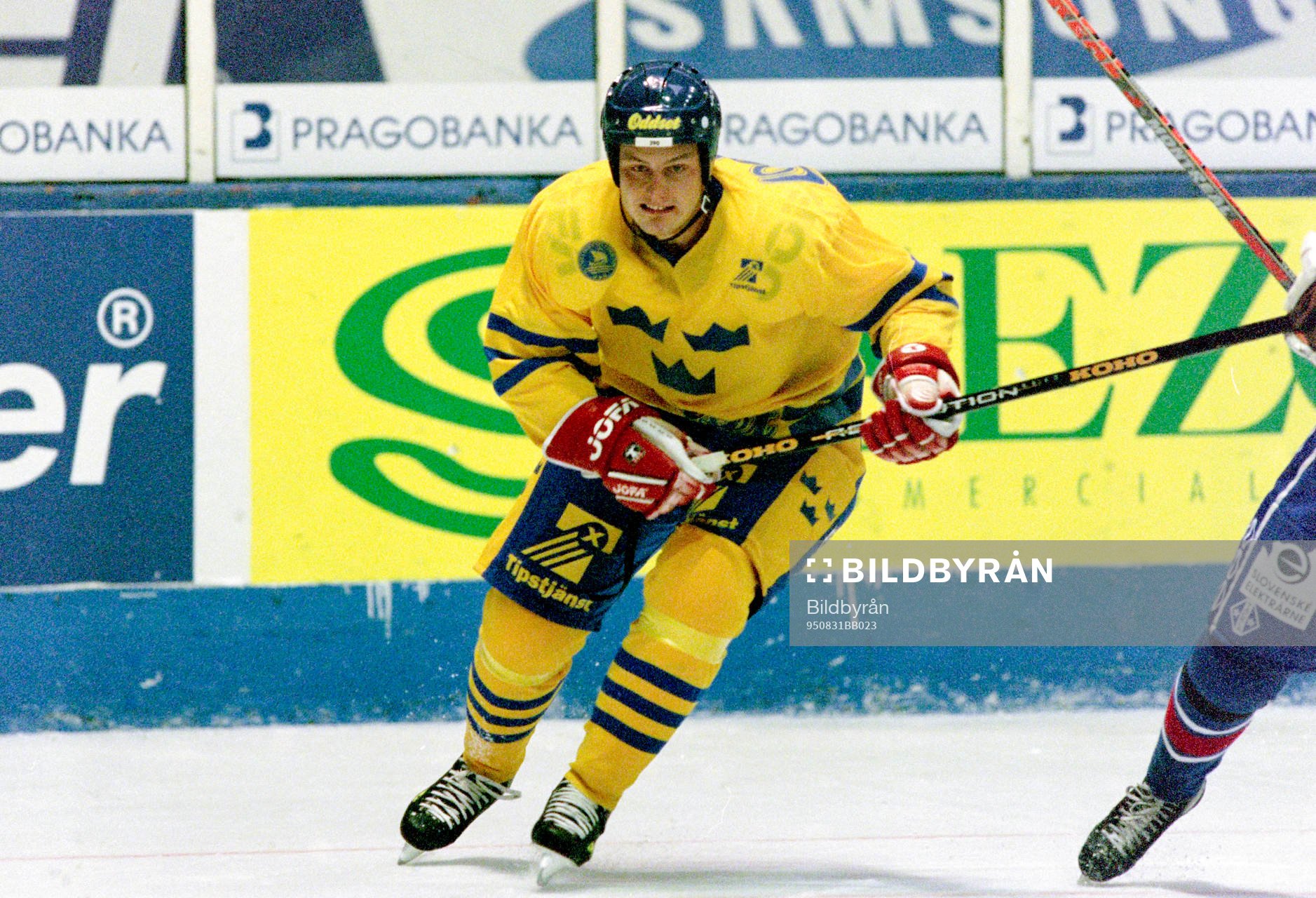 Mattias Timander, Sverige