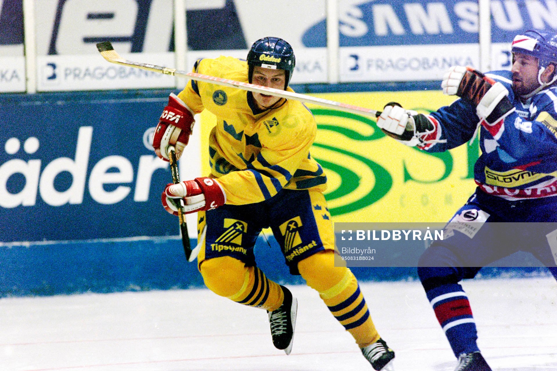 Mattias Timander, Sverige