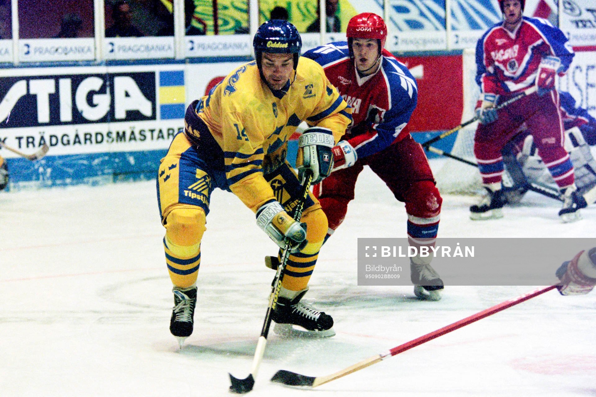 Jonas Höglund, Sverige