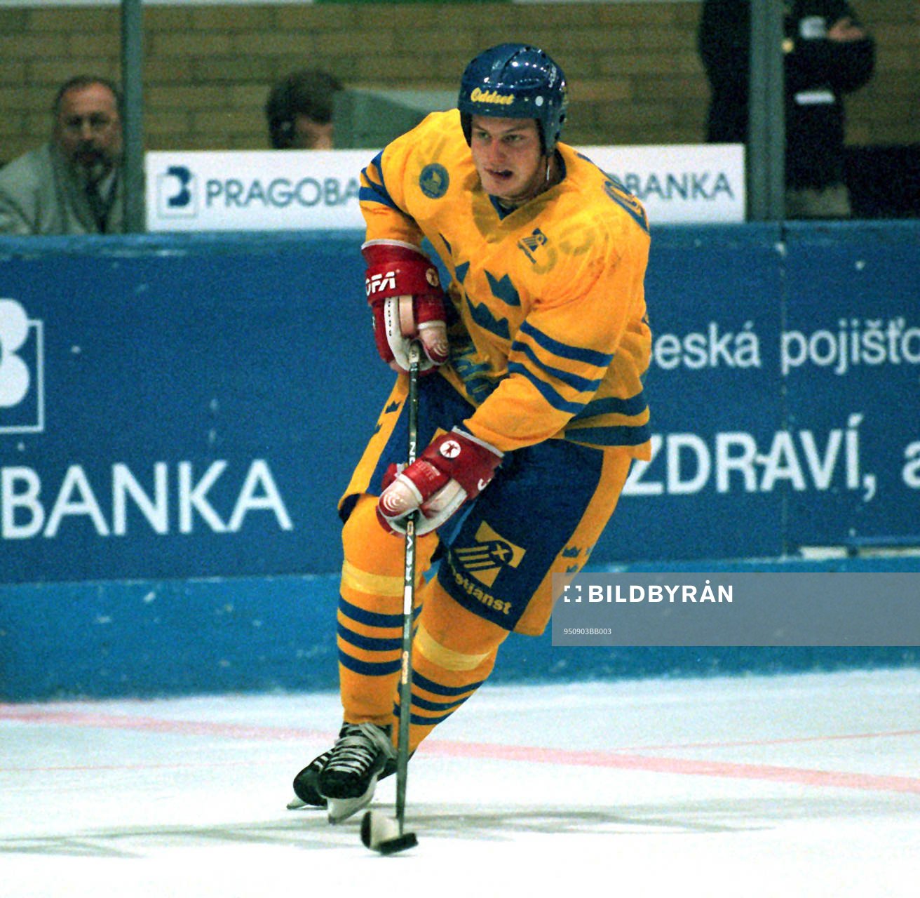 Mattias Timander, Sverige