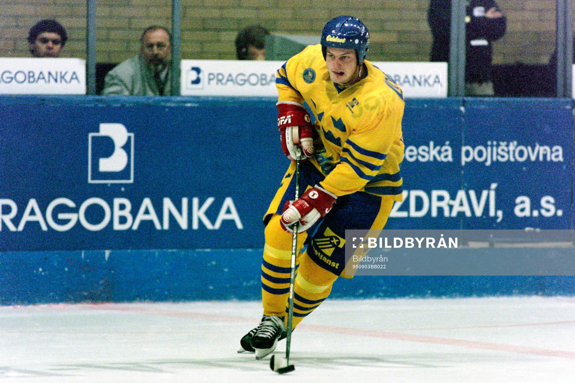 Mattias Timander, Sverige