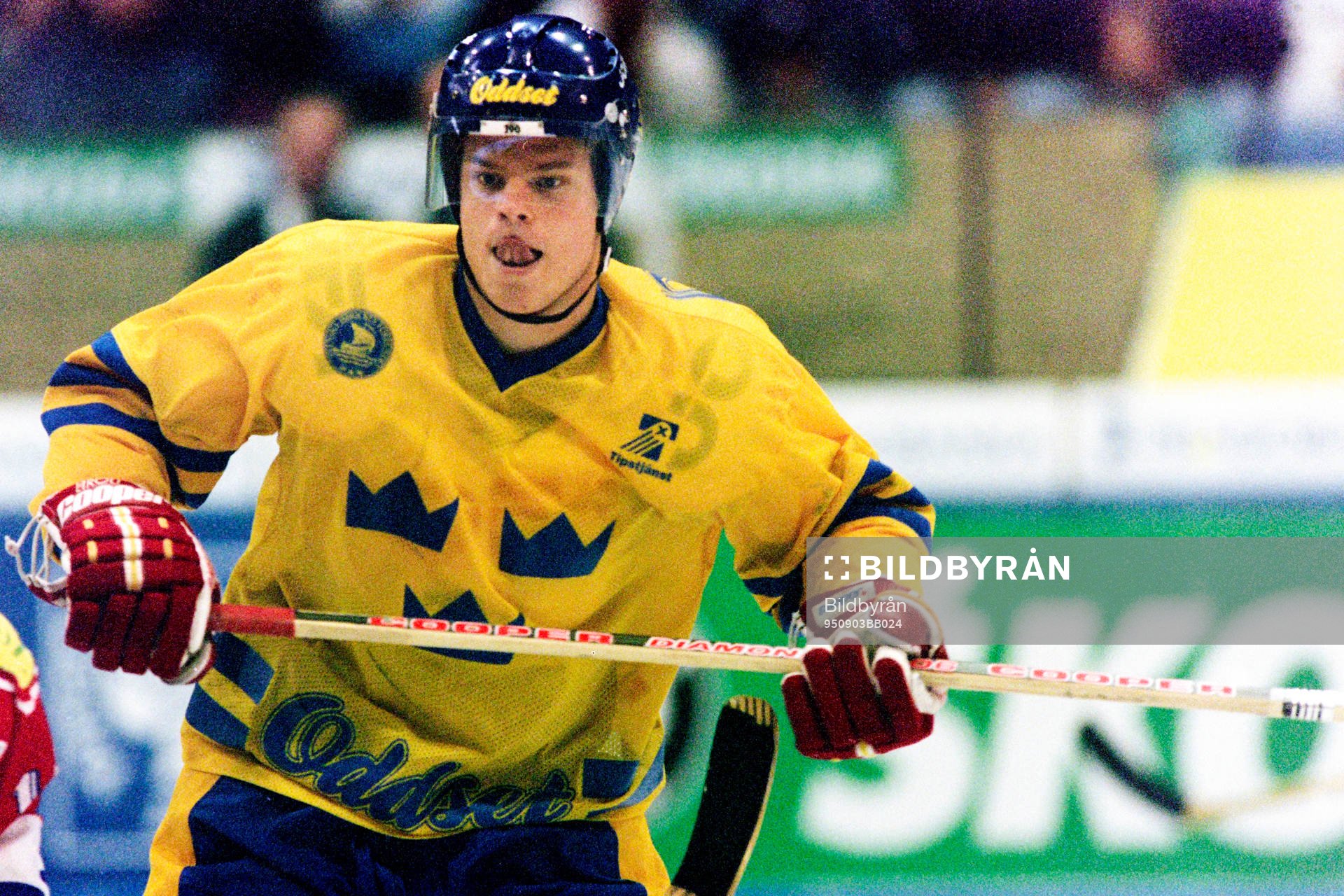 Fredrik Modin, Sverige