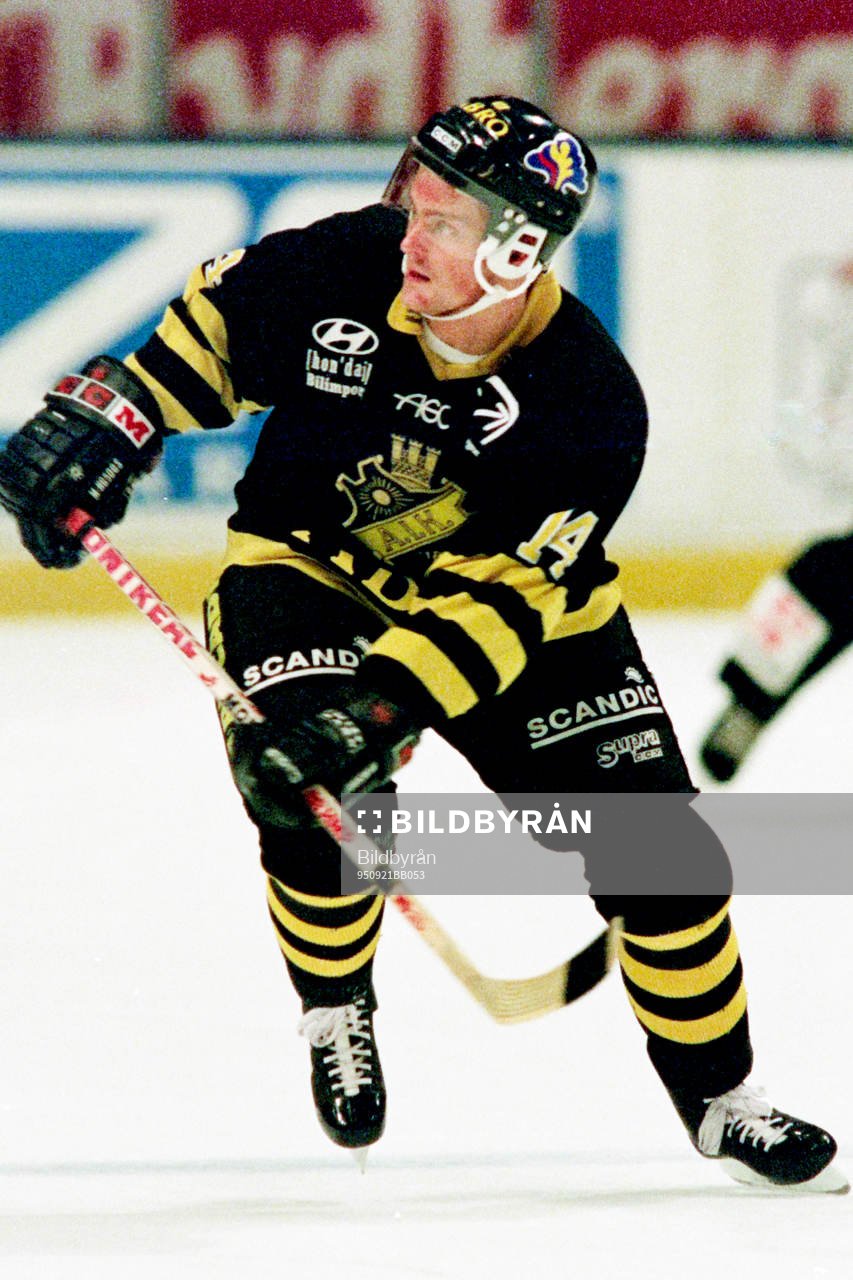 Niclas Hävelid, AIK
