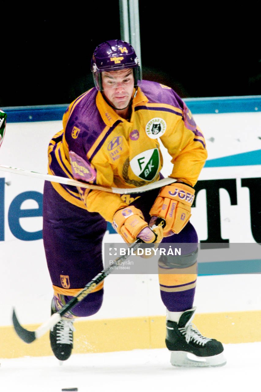 Jonas Höglund, Färjestad