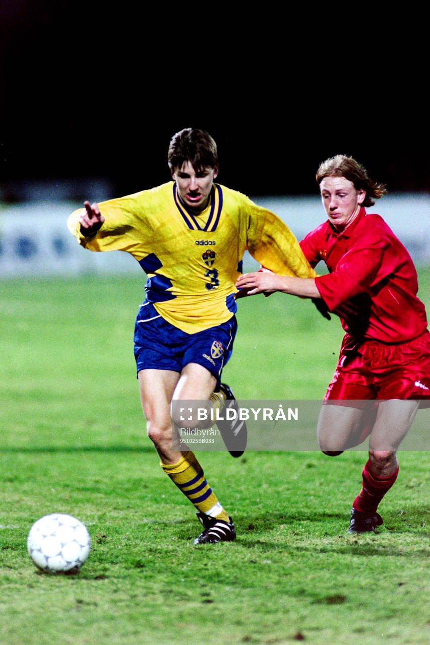 Nils-Eric Johansson, Sverige