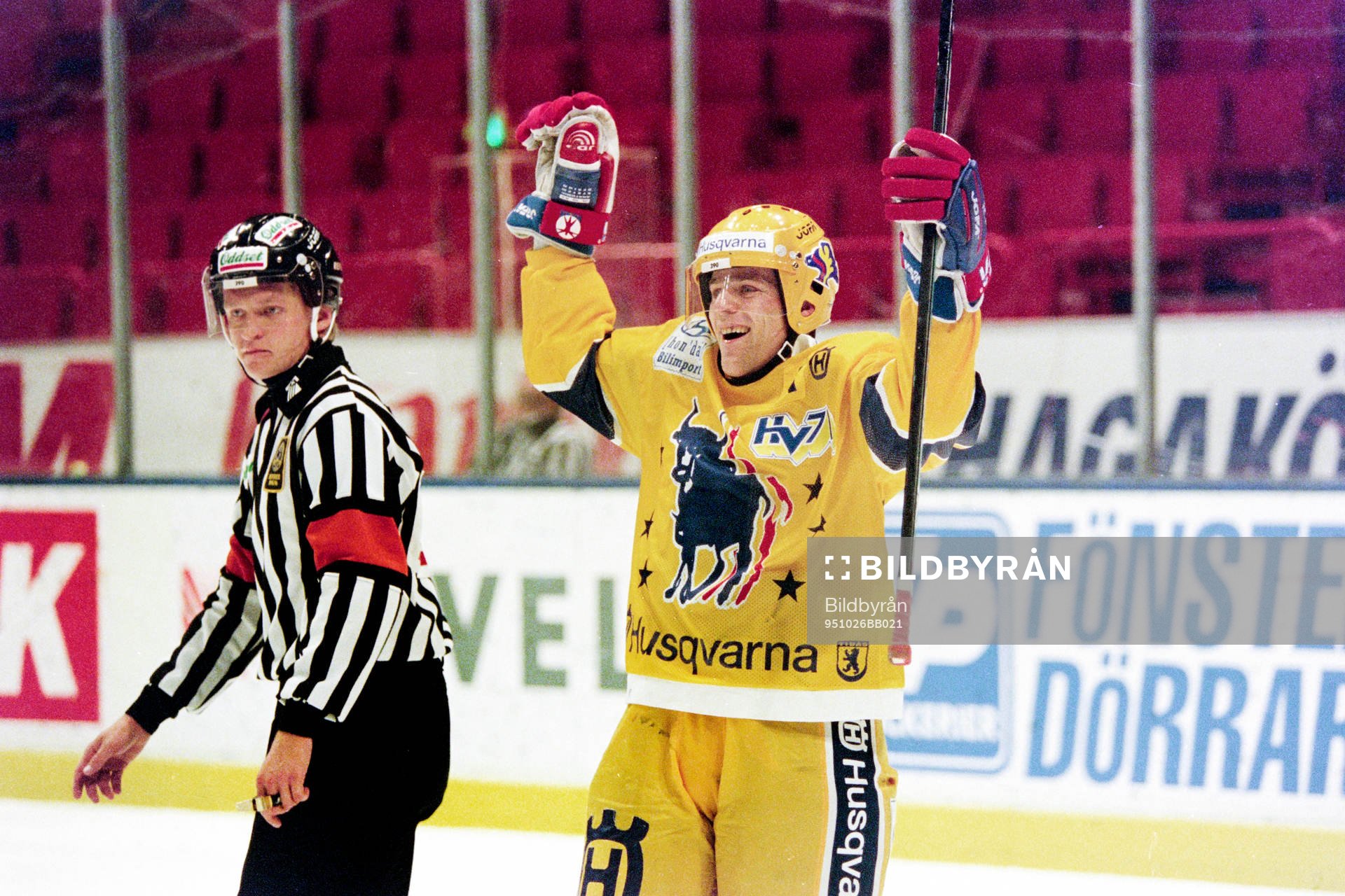 Stefan Falk, HV71 jublar