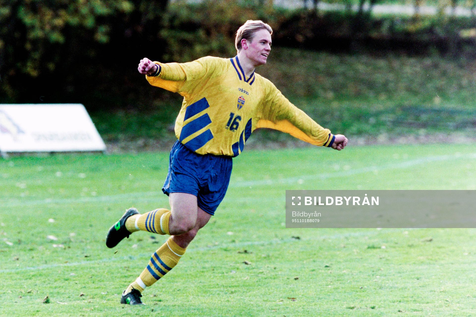 Mattias Jonson, Sverige jublar
