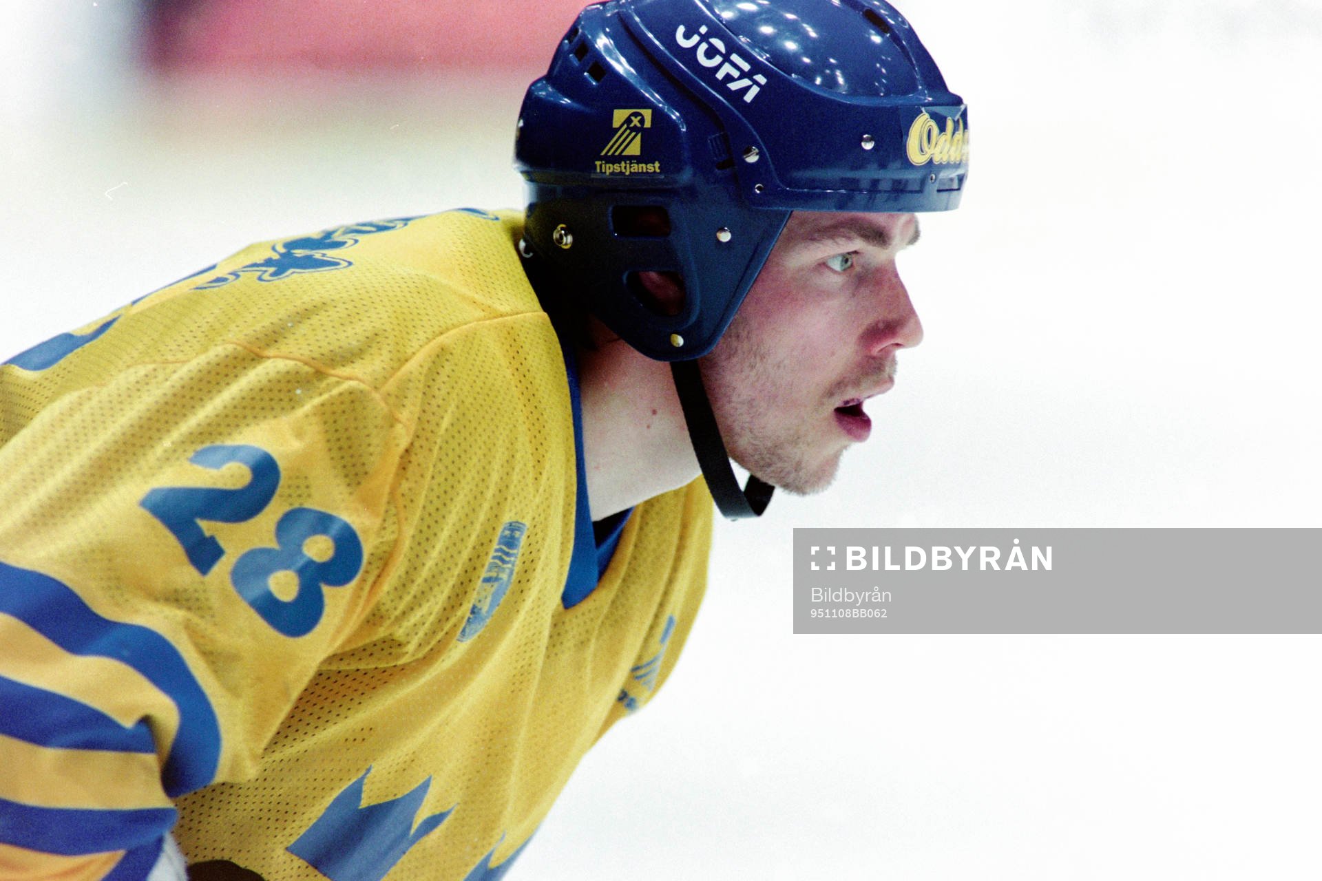 Roger Åkerström, Sverige